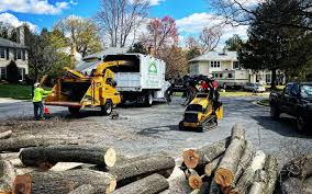 Trusted Royalton, MN Tree Removal Experts