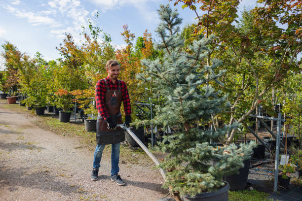 Best Tree Risk Assessment  in Royalton, MN